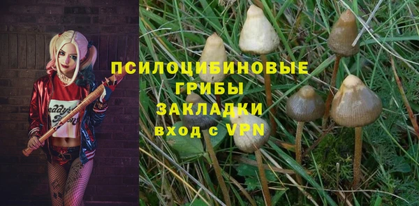 шишки Арсеньев