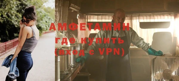 шишки Арсеньев