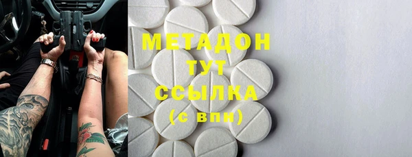 шишки Арсеньев