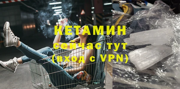шишки Арсеньев