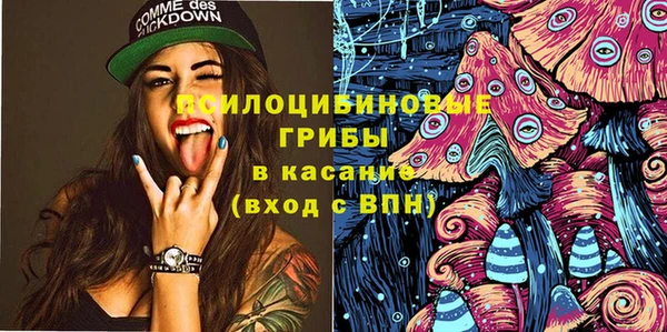 шишки Арсеньев