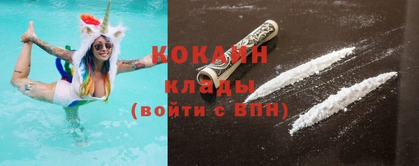 шишки Арсеньев