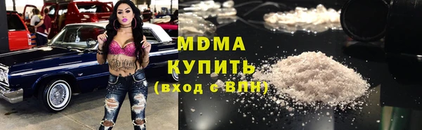 шишки Арсеньев