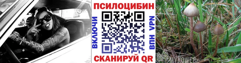 Псилоцибиновые грибы прущие грибы  MEGA ссылки  Усолье-Сибирское  даркнет сайт 